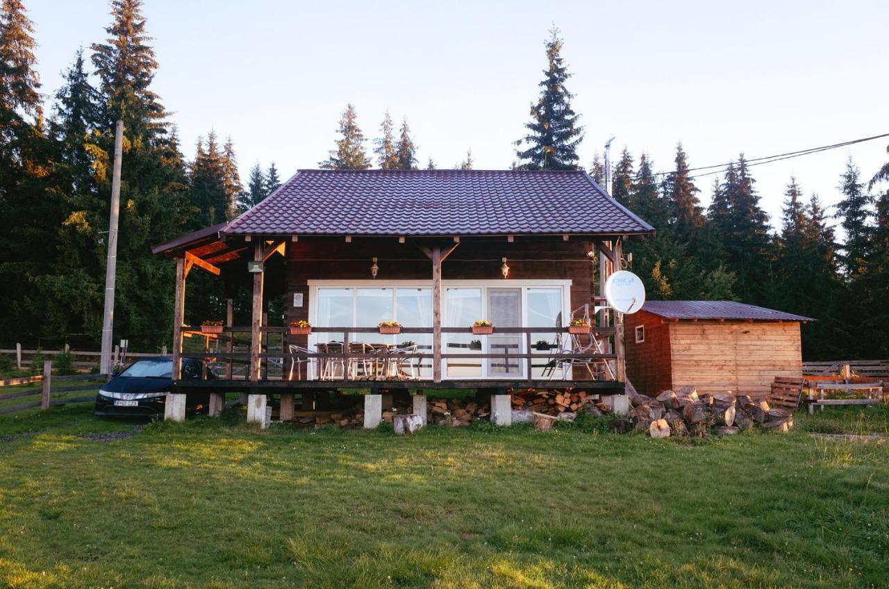 Casuta Schiorului Villa Marisel Exterior photo